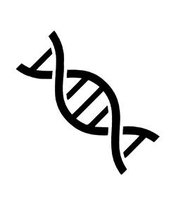 DNA生物学图标